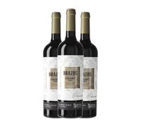 Zuccardi Brazos de los Andes Cabernet Franc Mendoza 75 cl Vino tinto (Caja de 3 Botellas de 75 cl)