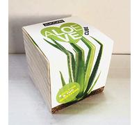 ZUCCARI - ALOE LOVE CUBE - Cultiva tu Aloe