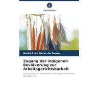 Zugang der indigenen Bevölkerung zur Arbeitsgerichtsbarkeit: Eine Studie über die Bewohner des indigenen Reservats Dourados-MS