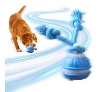ZukZythepsor Juguetes interactivos para perros, juguete de bola rodante activado por movimiento para aliviar el aburrimiento, bola inteligente automática con cola y sonidos para cachorros, perros