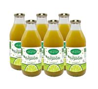 Zumo de Bergamota BIO de Calabria, Zumo Made in Italy 100% Puro, Bebida Fresca y Refrescante sin Azúcares Añadidos y Sin Conservantes, Zumo de Bergamota (6 botellas de 720 ml)