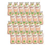 Zumo de fruta de melocotón de fruta, 24 botellas de 20 cl.