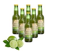 Zumo Puro de Bergamota La Spina Santa de Reggio Calabria de Bergotto, 6 botellas de 200 ml cada una