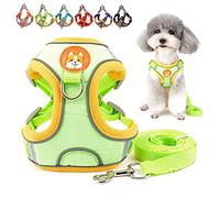 Zunea Antitirones Arnés para Perro Pequeño Ajustable Reflectante Gatos Cachorro Chaleco Arnés de Ante Suave Arneses Ligeros a Prueba de Escape para Caminar para Mascotas Chihuahua Yorkshire Verde XL