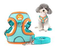 Zunea Antitirones Arnés para Perro Pequeño Ajustable Reflectante Gatos Cachorro Chaleco Arnés de Ante Suave Arneses Ligeros a Prueba de Escape para Caminar para Mascotas Chihuahua Yorkshire Azul M