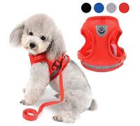Zunea - Arnés ajustable para cachorros, perros pequeños o gatos, sin tirones, de malla suave, acolchado, arnés con correa y logotipo reflectantes, ideal para entrenamiento, salir a pasear y a correr