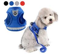 Zunea - Arnés ajustable para cachorros, perros pequeños o gatos, sin tirones, de malla suave, acolchado, arnés con correa y logotipo reflectantes, ideal para entrenamiento, salir a pasear y a correr