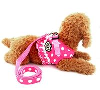 ZUNEA Arnés de chaleco para perro, cómodo juego de correa acolchada de malla con bonito patrón de puntos, arnés para caminar para gatitos, cachorros y mascotas pequeñas, (rosa, S)