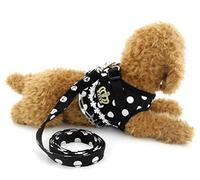 Zunea Arnés de chaleco para perro, cómodo juego de correa acolchada de malla con bonito patrón de puntos, arnés para caminar para gatitos, cachorros y mascotas pequeñas, (negro, S)