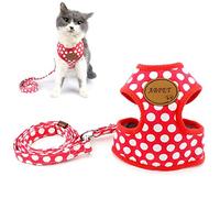 ZUNEA arnes Gato Nylon Soft Mesh Transpirable para Mascotas Cachorro pequeño Perro Gato Chaleco arnés y Correa Set Leads Ajustable sin tirón Walking Control arneses y Correas Red M