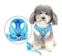 ZUNEA Arnés para Perro Pequeño Antitirones Ajustable Reflectante Arnés de Malla Suave Chaleco Gatos Arné Antifugas, Tamaños para Mascotas Perros Cachorro Chihuahua Azul XS