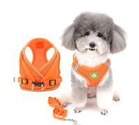 ZUNEA Arnés para Perro Pequeño Antitirones Ajustable Reflectante Arnés de Malla Suave Chaleco Gatos Arné Antifugas, Tamaños para Mascotas Perros Cachorro Chihuahua Naranja XS