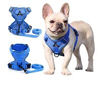Zunea Arnés para Perros Pequeños y Medianos Antitirones Arneses Chaleco para Cachorros Gatos Sin Tirar Arnés Ajustable Reflectante Malla Transpirable Ligero Juego de Correas para Caminata Azul S