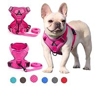 Zunea Arnés para Perros Pequeños y Medianos Antitirones Arneses Chaleco para Cachorros Gatos Sin Tirar Arnés Ajustable Reflectante Malla Transpirable Ligero Juego de Correas para Caminata Rosa M