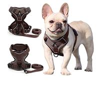 Zunea Arnés para Perros Pequeños y Medianos Antitirones Arneses Chaleco para Cachorros Gatos Sin Tirar Arnés Ajustable Reflectante Malla Transpirable Ligero Juego de Correas para Caminata Marrón S