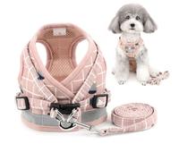 Zunea Arnés Perro pequeño con Correa, Ajustable Reflectante Chihuahua Chaleco arneses de Malla Acolchada a Prueba de Escape Chaqueta para Cachorro para niños y niñas Perros y Gatos Rosa L