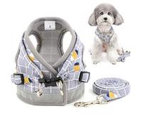 Zunea Arnés Perro pequeño con Correa, Ajustable Reflectante Chihuahua Chaleco arneses de Malla Acolchada a Prueba de Escape Chaqueta para Cachorro para niños y niñas Perros y Gatos Gris XS