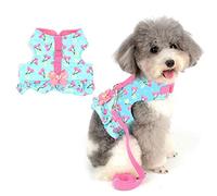 Zunea Arnés y Correa para Perro Pequeño Niña Antitirones Cachorro Chihuahua Vestido Antifugas Arnes Pecho Suave Cómodo Chaleco Floral Acolchado con Bowknot para Hembra Gato Caminar Azul S