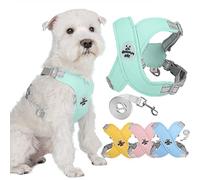 Zunea Arneses con Correa para Perros Pequeños y Medianos Reflectante Ajustable Cachorros Arnés Chaleco de Malla Suave Transpirable Acolchado Ligero con Clip Trasero para Chihuahua Bulldog Verde S