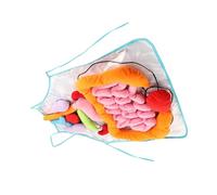 ZUNOXAZ Delantal de Órganos para Educación Infantil Ayuda Didáctica Preescolar Anatómico para Aprendizaje Temprano Interactivo para Aula