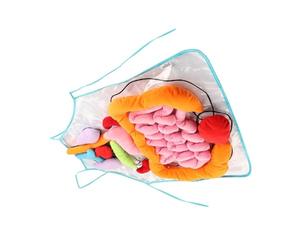 ZUNOXAZ Delantal de Órganos para Educación Infantil Ayuda Didáctica Preescolar Anatómico para Aprendizaje Temprano Interactivo para Aula