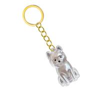 Zuoeay Llavero emocional para pérdida de mascotas con caja de almacenamiento transparente para dueños de perros en duelo, contenedor de cenizas para pérdida emocional, cómodo cabello transparente