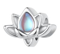 ZUOHUI Cuentas Charm Estrella Garra 925 Plata Esterlina for Pandora | Compatible con Troll Biagi Chamilia Pulsera Trébol Corazón DIY Suministros Joyería Regalo for Ella Cumpleaños Navidad