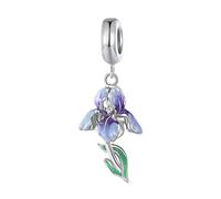 ZUOHUI Dijes de cuentas de iris de aceite de goteo degradado de plata de ley 925 for mujer, colgante hecho a mano de Mensajero del Amor for Pandora o pulseras y collares europeos