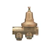 Zurn 1-600XL Wilkins - Válvula reductora de presión de agua de 2,5 cm sin plomo