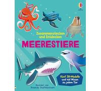 Zusammenstecken und Entdecken: Meerestiere: interaktives Buch mit fünf herausnehmbaren 3D-Modellen und viel Wissen zu jedem Tier - für Kinder ab 4 Jahren