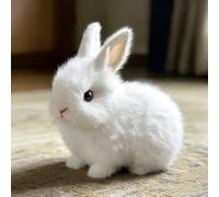 ZVD Juguete De Peluche De Pascua, Mi Conejo De Juguete Realista, Un Conejo Interactivo Que Rebota con Orejas Que Saltan, Mi Conejito Realista, Orejas Que Saltan, Retorcen Y Treman (C)