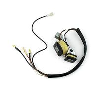 ZVPQU Bobina de Encendido ET950 ET650 IE45 TG950 con Encendedor de Bobina de Encendido Magneto Apto for generador Tiger 450W 650W 800W 950W 1000W 2 Tiempos(As Show)