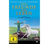 Zwei Freunde für's Leben [Alemania] [DVD]