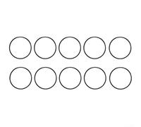 ZWEquipint 59000600 - Junta tórica de repuesto para filtro central de piscina y spa FNS Plus, junta de sellado de alta calidad para un rendimiento sin fugas, negro, paquete de 1 (10 piezas)