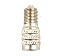 ZWEquipint Adaptador de extensión de válvula de acero inoxidable para Xiaomi para scooter eléctrico M365, extensor de boquilla de inflado de neumáticos atornillado, plateado 24 mm (24 mm)