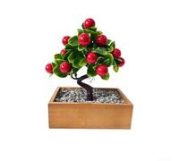 ZWEquipint Árbol bonsái de frutas artificiales con hojas realistas para decoración de escritorio de oficina en casa, rojo, naranja, limón, chile, planta en maceta, 24 cm (A)