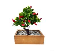 ZWEquipint Árbol bonsái de frutas artificiales con hojas realistas para decoración de escritorio de oficina en casa, rojo, naranja, limón, chile, planta en maceta, 24 cm (C)
