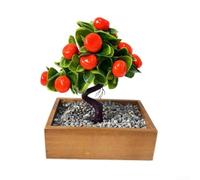 ZWEquipint Árbol bonsái de frutas artificiales con hojas realistas para decoración de escritorio de oficina en casa, rojo, naranja, limón, chile, planta en maceta, 24 cm (B)