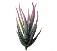 ZWEquipint Artificial para planta de aloe cebra, suculenta realista de PVC para decoración de pared de bricolaje, arreglo floral del hogar, verde con puntas flocadas, 12 cm (B)