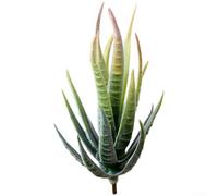 ZWEquipint Artificial para planta de aloe cebra, suculenta realista de PVC para decoración de pared de bricolaje, arreglo floral del hogar, verde con puntas flocadas, 12 cm (C)