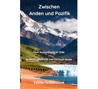 Zwischen Anden und Pazifik: Mein Auslandsjahr in Chile - Erfahrungsbericht und Survival-Guide
