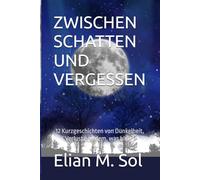 ZWISCHEN SCHATTEN UND VERGESSEN: 12 Kurzgeschichten von Dunkelheit, Verlust und dem, was bleibt