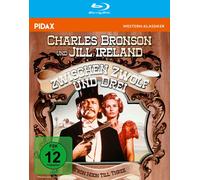 Zwischen Zwölf und Drei (From Noon till Three) / Kult-Western mit Charles Bronson (Pidax Western-Klassiker) [Alemania] [Blu-ray]