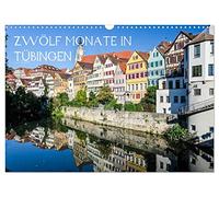 Zwölf Monate in Tübingen (Wandkalender 2026 DIN A3 quer), CALVENDO Monatskalender: Die schönsten Motiven aus Tübingen
