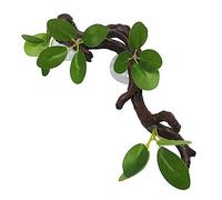 ZWTPGKRD Rama de esquina de reptiles, rama de escalada de resina para terrario, simulación de plantas, peceras, decoraciones acuáticas vibrantes para resina de anfibios, adorno de raíz de árbol