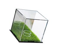 ZWTPGKRD Vitrina de pelotas de golf, caja de almacenamiento, organizador de pelotas de coleccionista, contenedor de almacenamiento de firmas, soporte acrílico con tapa