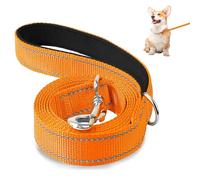 ZWWOGE Correa para perros pequeños ligera Perro Reflectante de Doble Cara, Correa para Perros con Mango Acolchado, Correa de Adiestramiento para Perros Pequeños y Perrito, 180×2cm