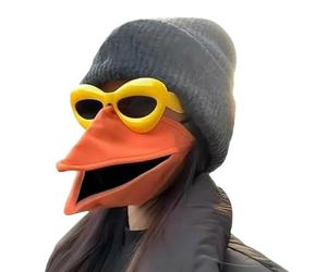 zwxqe - Máscara de pico de pájaro, gorro artesanal con gafas de sol, novedad máscara animal hablando - para Carnaval Masquerade Eventos Vacaciones Sesiones de fotos teatro escena