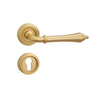 Zxarunas Entry Door Handle with Lock For Front Entrance and Bedrooms Vintage Magnetic Mute Split Lock Manillas(Color1)