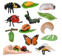 ZXBBTZ 12 Figuras Insectos Ciclo de Vida- 4 Etapas Realistas Metamorfosis | Figuras Insectos Incluye Mariposa, Mariquita y Abeja, Figuras Realistas de 4 Etapas: Huevo, Larva, Pupa y Adulto